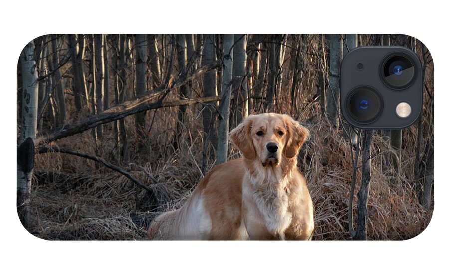 Dog iPhone 13 Case featuring the photograph Dog In The Woods by Karen Rispin