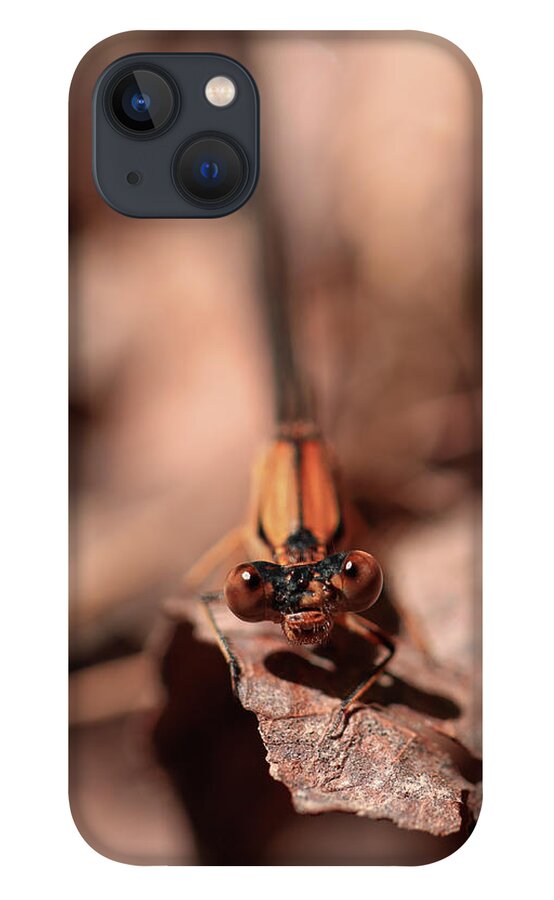 Mountain iPhone 13 Case featuring the photograph Dragon Fly Doug by Go and Flow Photos