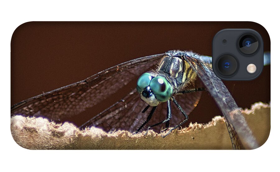 Insect iPhone 13 Case featuring the photograph Dragonfly Eyes by Portia Olaughlin
