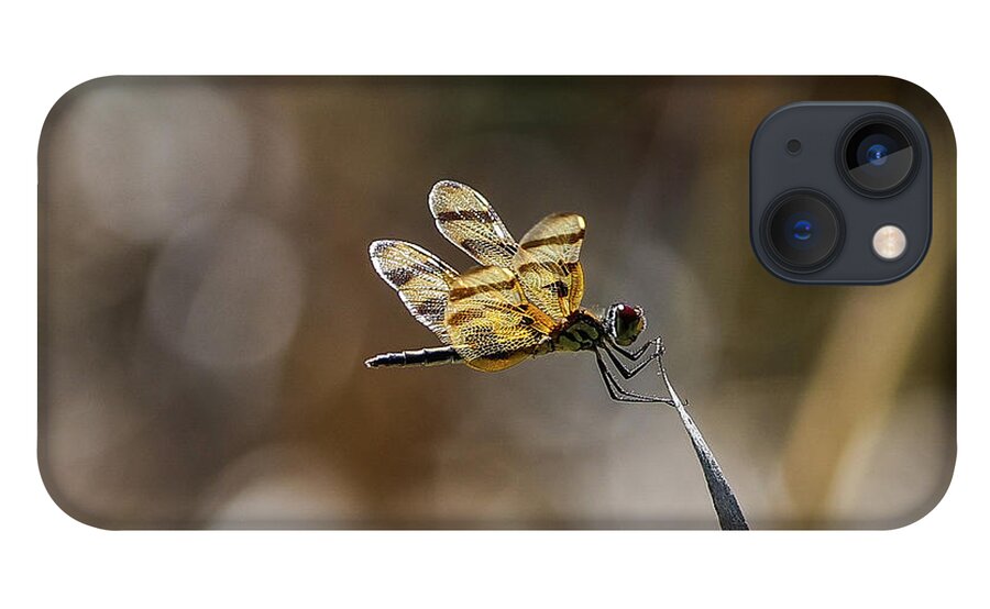 Dragonfly iPhone 13 Case featuring the photograph Dragonfly by Tahmina Watson