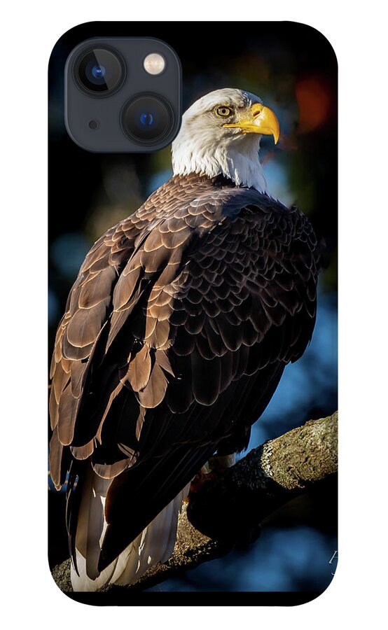 Eagle iPhone 13 Case featuring the photograph Eagle on a Branch by William Bretton