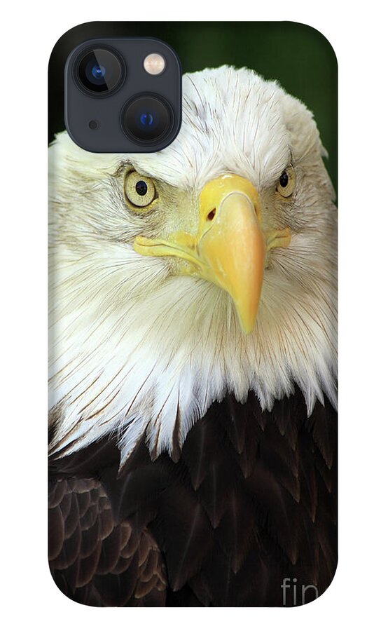 Eagle iPhone 13 Case featuring the photograph Eagle by Paula Guttilla