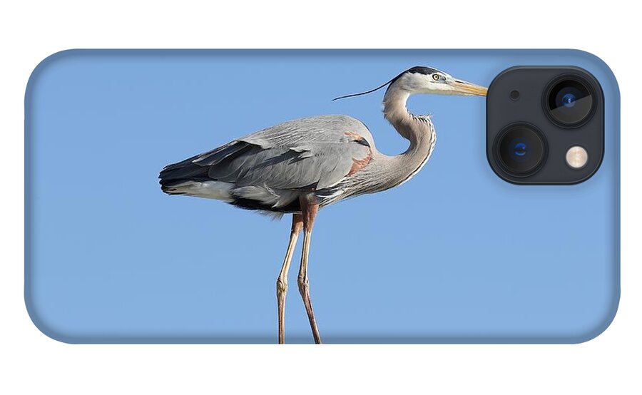 Great Blue Heron iPhone 13 Case featuring the photograph Elegant Great Blue Heron by Mingming Jiang