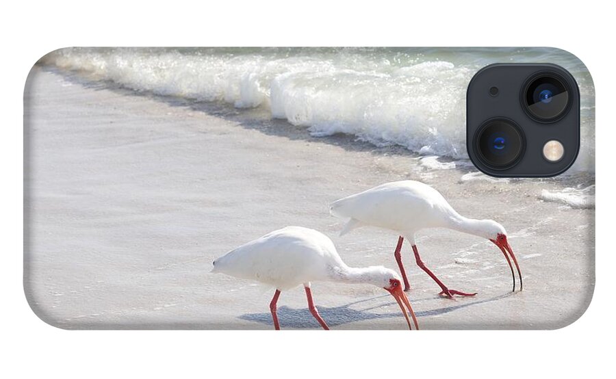 White Ibis iPhone 13 Case featuring the photograph Elegantly in Synch by Mingming Jiang