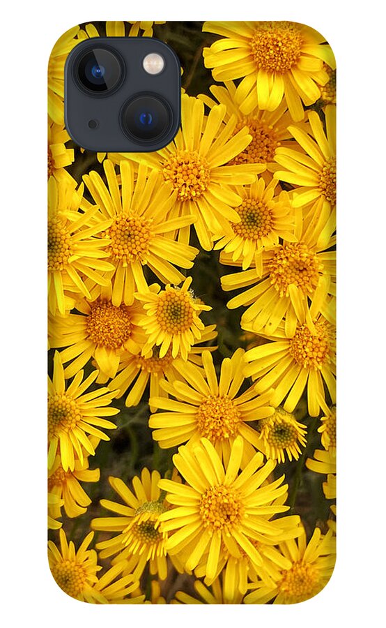 Flowers iPhone 13 Case featuring the photograph Ellensburg Wildflowers by Jerry Abbott
