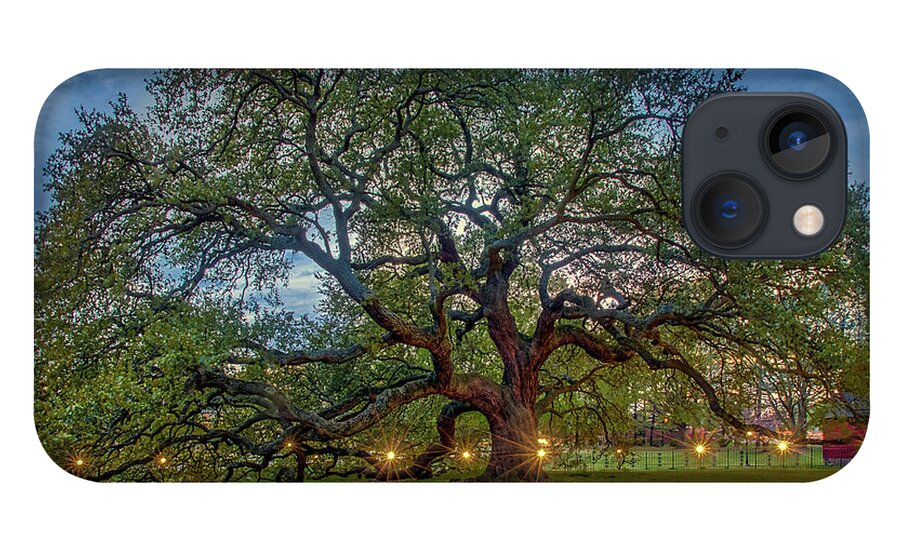 Emancipation Oak iPhone 13 Case featuring the photograph Emancipation Oak at Dusk by Jerry Gammon