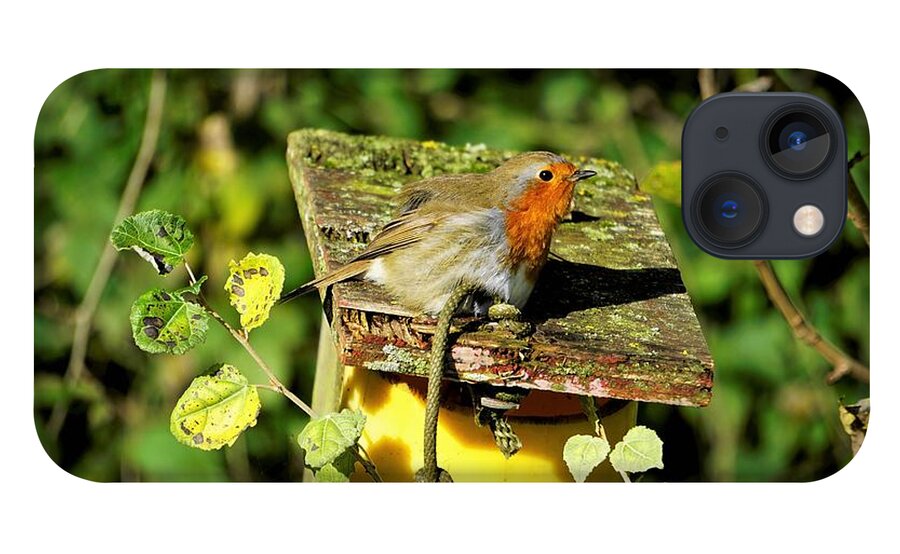 Robin iPhone 13 Case featuring the photograph English Robin On A Birdhouse by Tranquil Light Photography