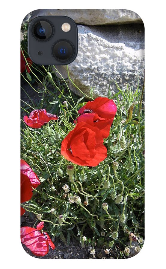 Poppies iPhone 13 Case featuring the photograph Ephesus poppies by Lisa Mutch