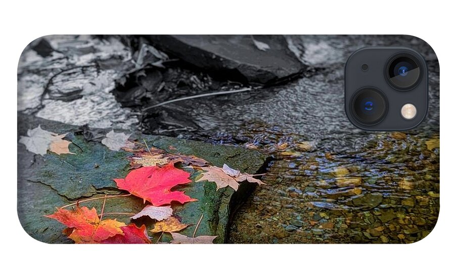  iPhone 13 Case featuring the photograph Fall Leaves by Brad Nellis