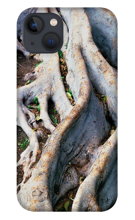 Tree Roots iPhone 13 Case featuring the photograph Family Bonds by Kerry Obrist