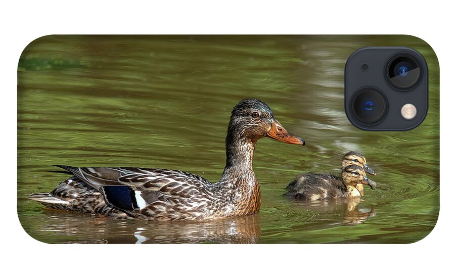 Nature iPhone 13 Case featuring the photograph Family of Mallard Ducks DWF0242 by Gerry Gantt