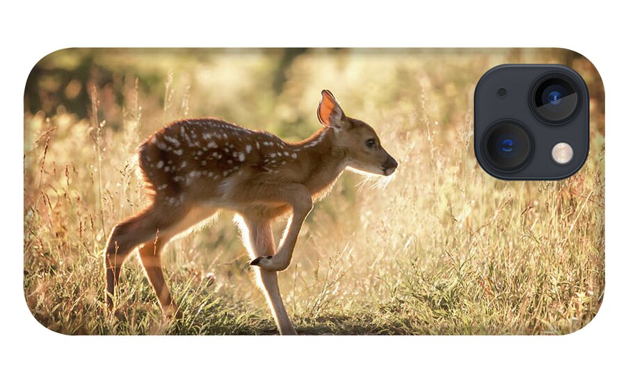 Shenandoah iPhone 13 Case featuring the photograph Fawn Crossing by Travis Rogers