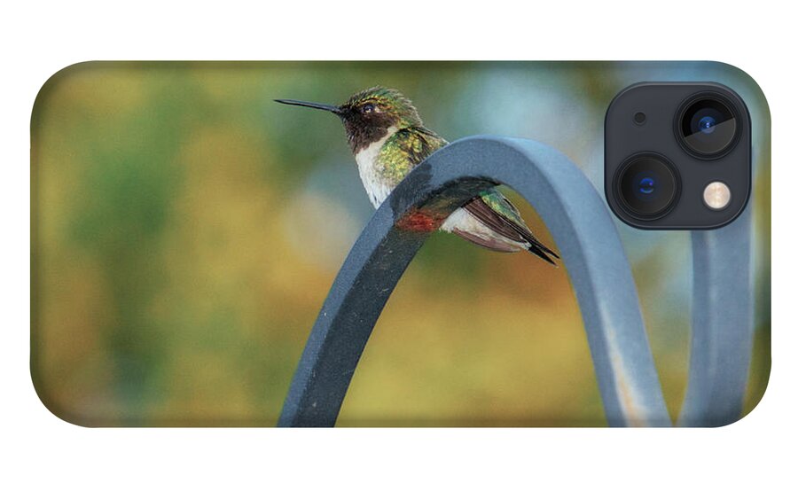 Female iPhone 13 Case featuring the photograph Female Ruby-Throated Hummingbird by Frank Mari