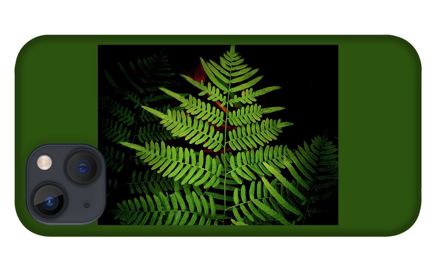 Fern iPhone 13 Case featuring the photograph Fern Fronds by James C Richardson