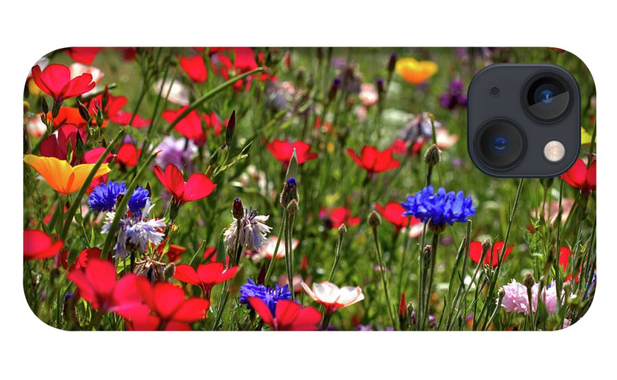Flower iPhone 13 Case featuring the photograph Flax Summer Meadow by Baggieoldboy