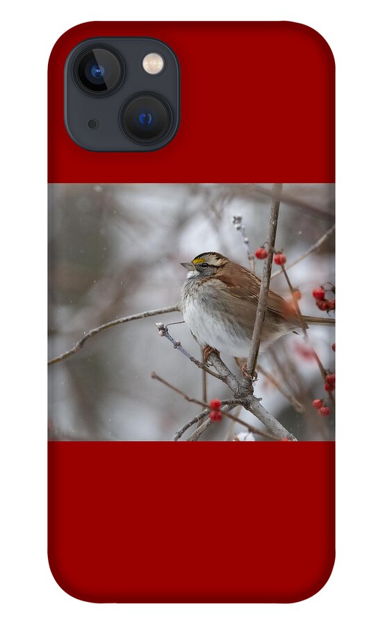 Bird iPhone 13 Case featuring the photograph Floofy Sparrow by Linda Bonaccorsi
