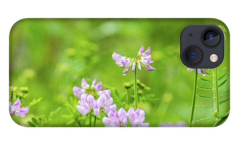 Flower iPhone 13 Case featuring the photograph Flower Photography - Spring Field by Amelia Pearn
