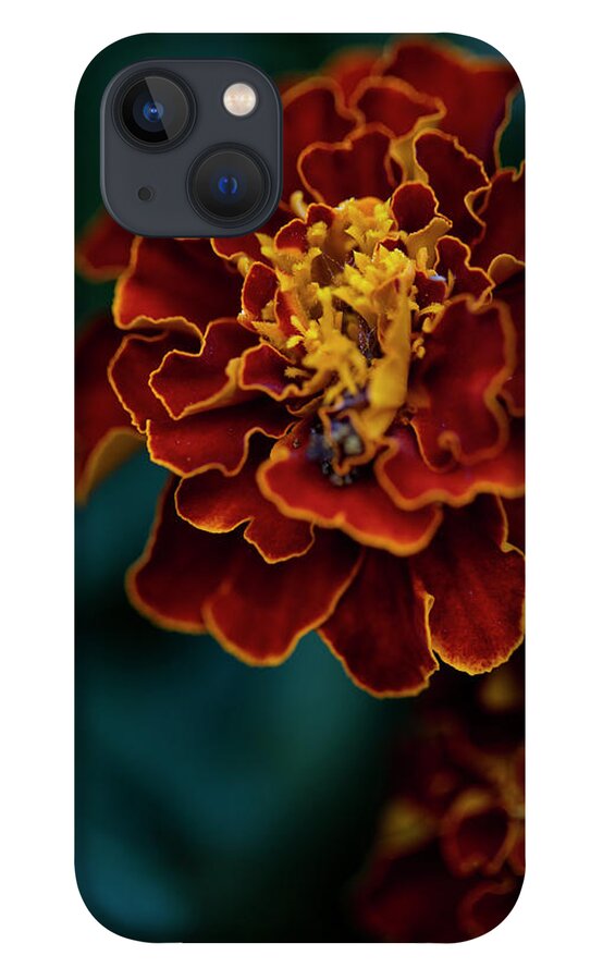 Nyc iPhone 13 Case featuring the photograph Flowers of NYC - Mystery by Marlo Horne
