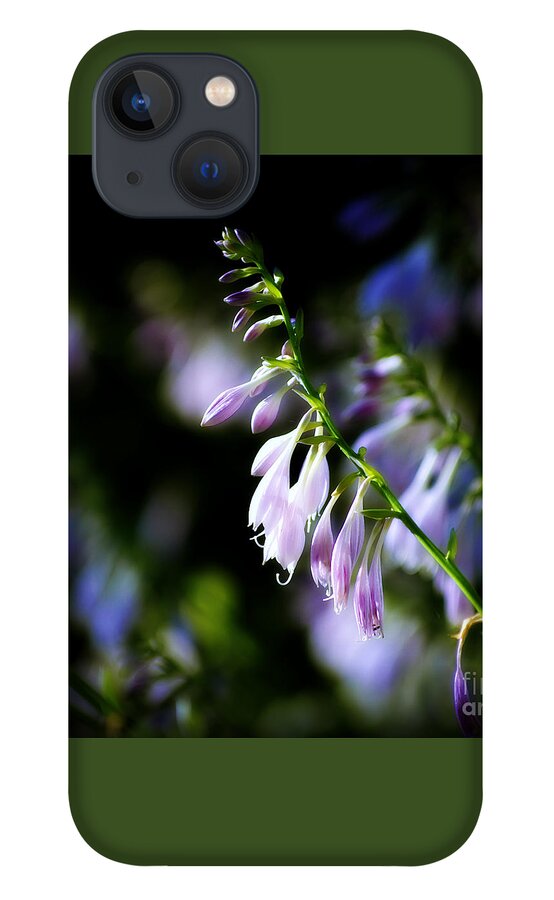 Flowers iPhone 13 Case featuring the photograph Flowers Purple and Sunlight - square by Frank J Casella