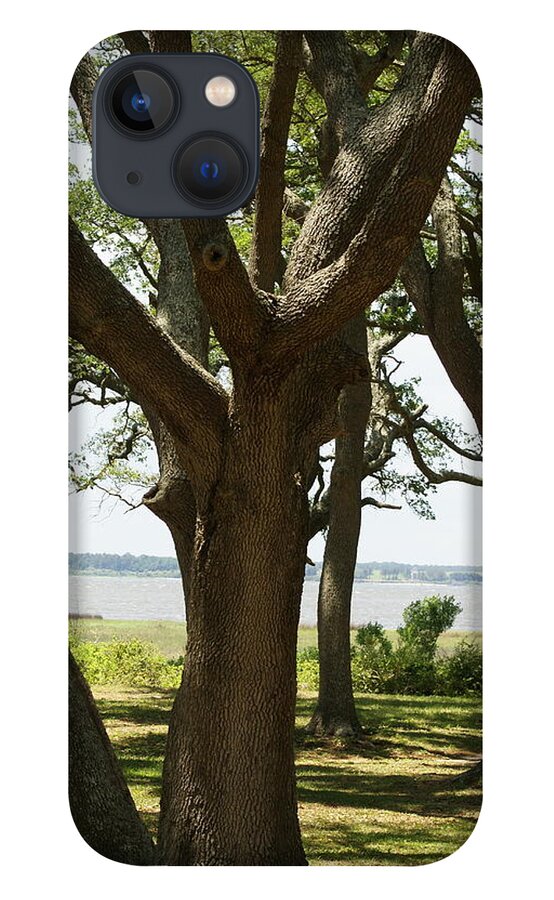  iPhone 13 Case featuring the photograph Fort Fisher Oak by Heather E Harman