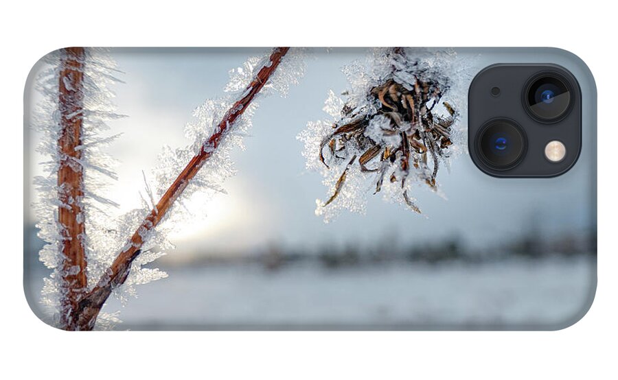 Frost iPhone 13 Case featuring the photograph Frost On A Winter Annual by Phil And Karen Rispin