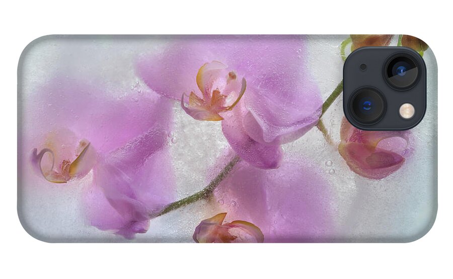 Orchid iPhone 13 Case featuring the photograph Frozen Beauty by Elvira Peretsman