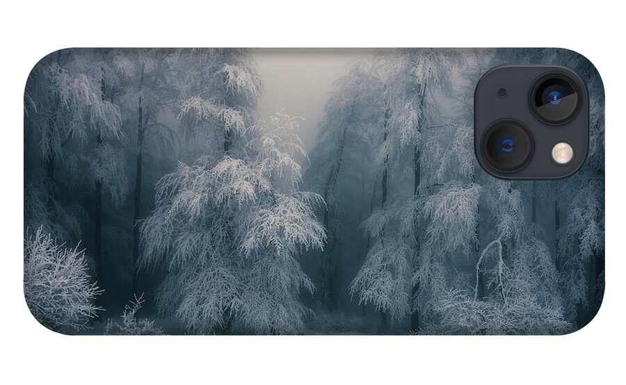 Mountain iPhone 13 Case featuring the photograph Frozen Forest by Evgeni Dinev