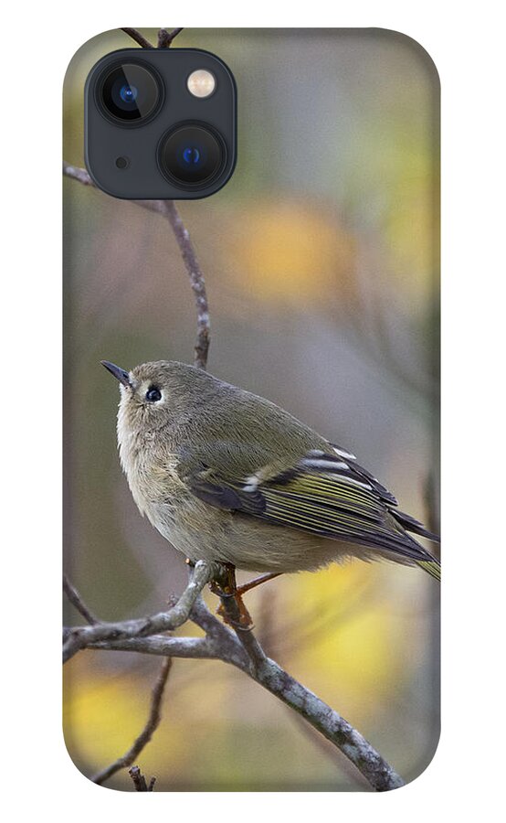 Bird iPhone 13 Case featuring the photograph Future Birder by Linda Bonaccorsi