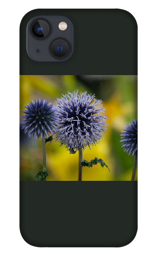 Wildflower iPhone 13 Case featuring the photograph Garden Globes by Linda Bonaccorsi