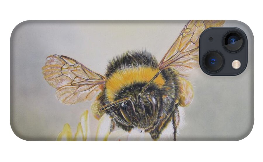 Bee iPhone 13 Case featuring the drawing Gently Collecting by Kelly Speros