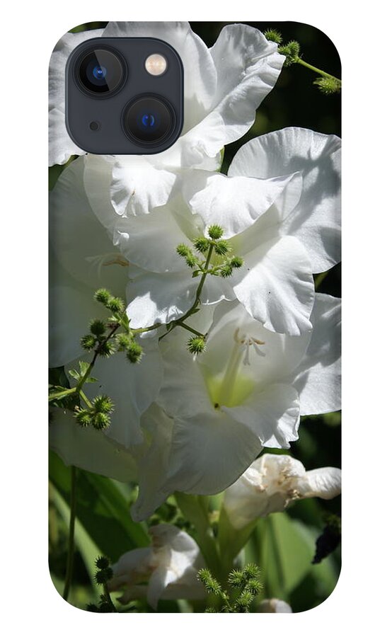  iPhone 13 Case featuring the photograph Gladiolus by Heather E Harman