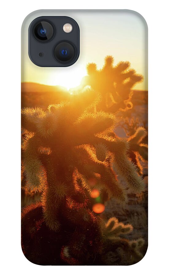 California iPhone 13 Case featuring the photograph Golden Cholla 2 by Go and Flow Photos