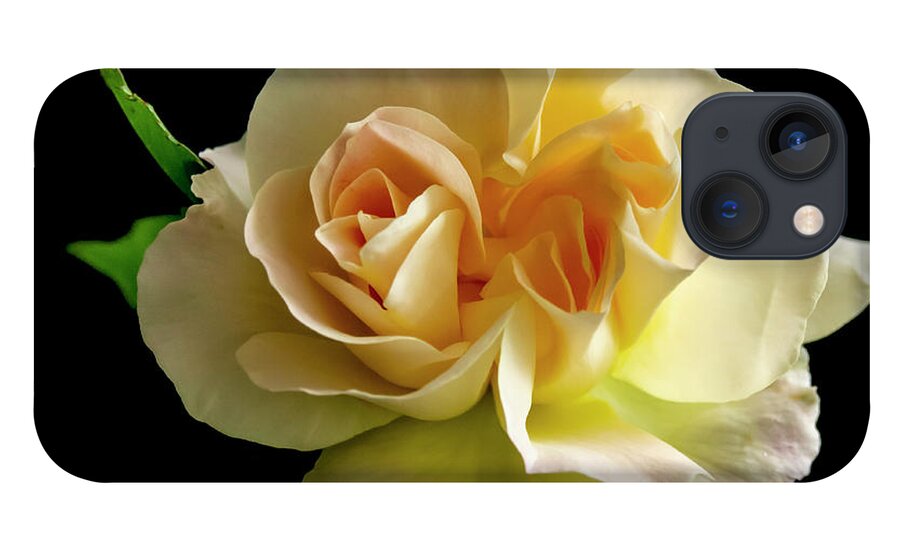 Flower iPhone 13 Case featuring the photograph Golden Rose by Cathy Kovarik