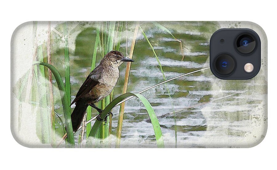Grackle iPhone 13 Case featuring the digital art Grackle by the Lake by Alison Frank