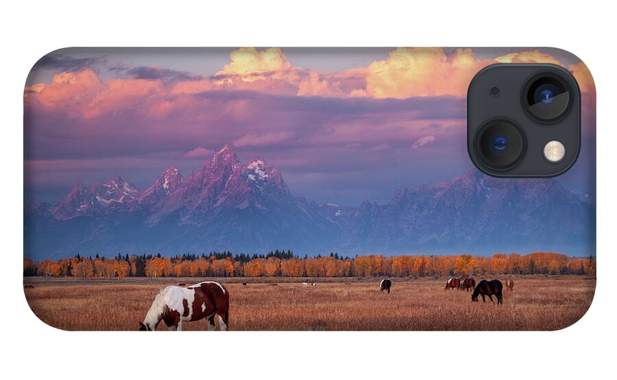 Grand Tetons iPhone 13 Case featuring the photograph Grand Teton Pasture by Wesley Aston