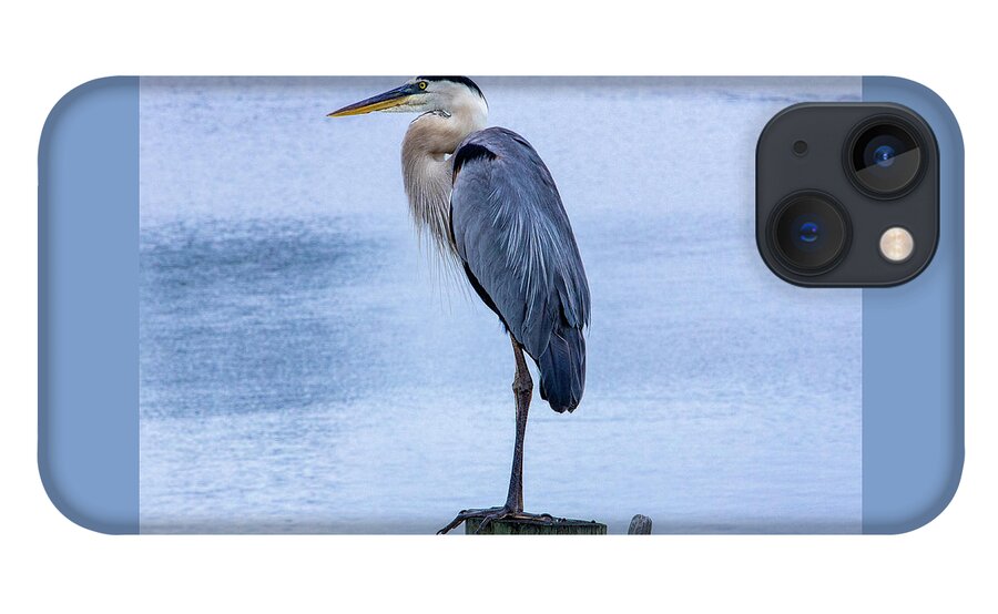 Great Blue Heron iPhone 13 Case featuring the photograph Great Blue Heron by Blair Damson