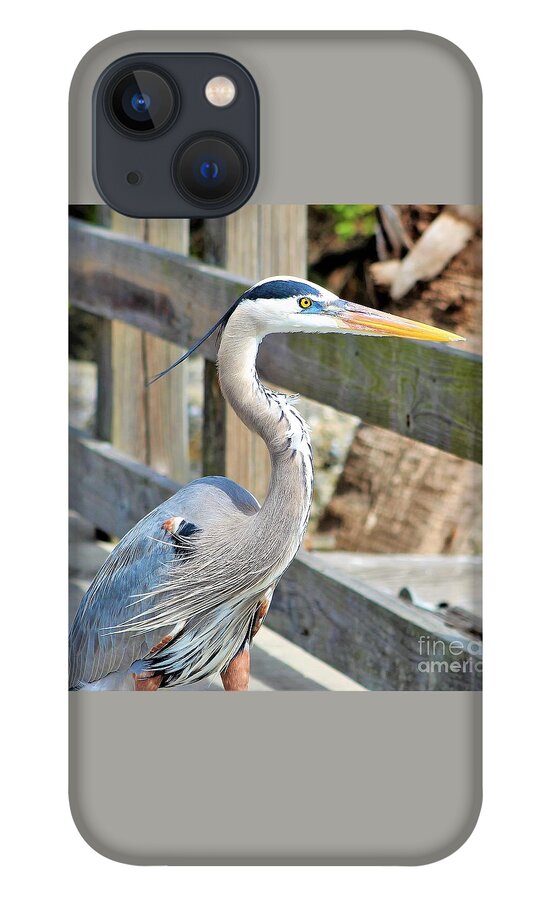 Heron iPhone 13 Case featuring the photograph Great Blue Heron down at the pier looking out yonder by Joanne Carey