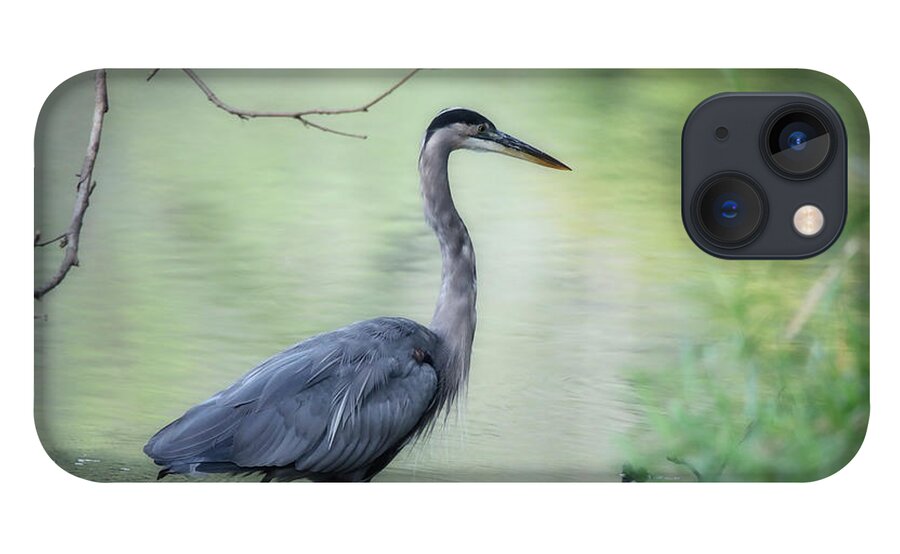 Great iPhone 13 Case featuring the photograph Great Blue Heron by Scott Burd
