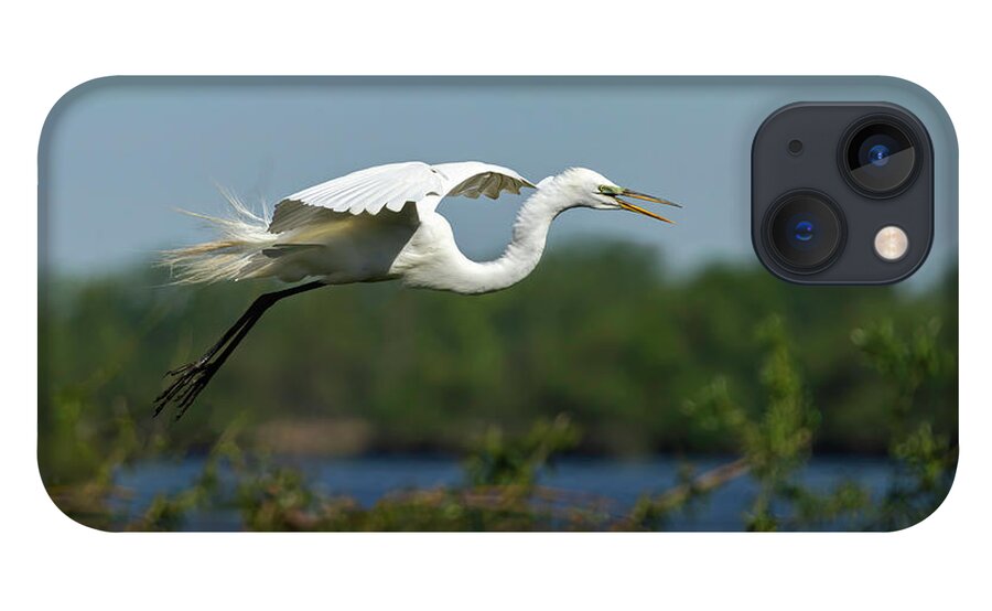 Great Egret iPhone 13 Case featuring the photograph Great Egret 2014-16 by Thomas Young