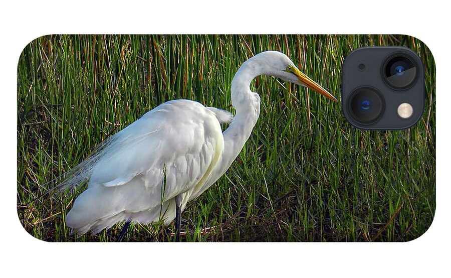 Wildlife iPhone 13 Case featuring the photograph Great Egret at Sunset by Laura Putman