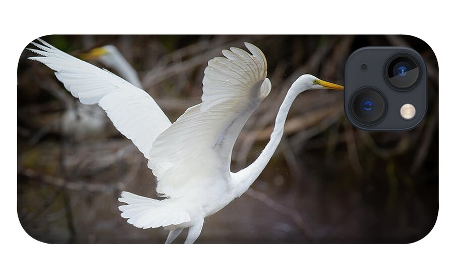 Great White Egret iPhone 13 Case featuring the photograph Great White Egret Lift Off by Mark Andrew Thomas