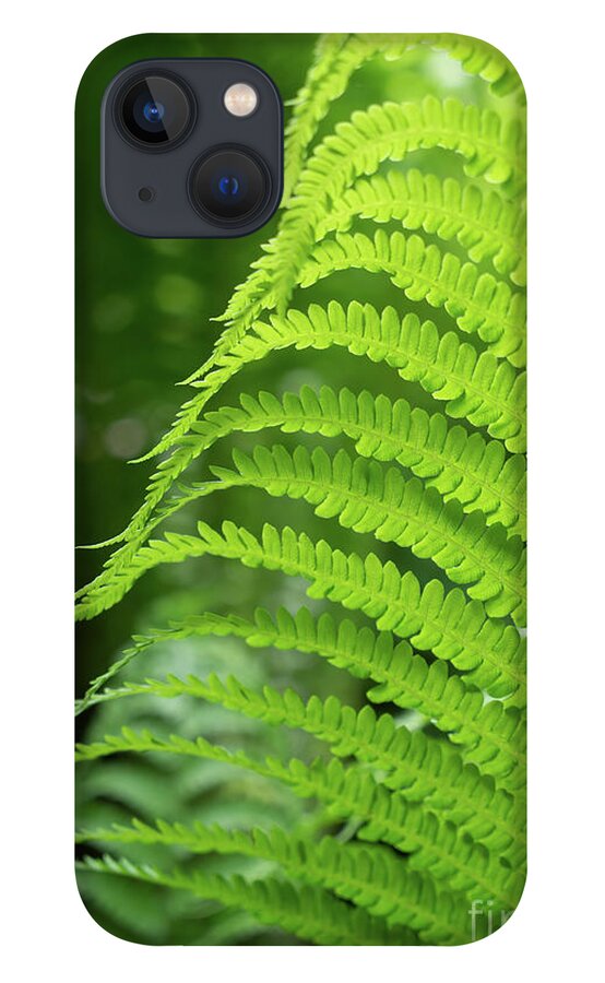 Fern iPhone 13 Case featuring the photograph Green fern and summer dream in the forest by Adriana Mueller