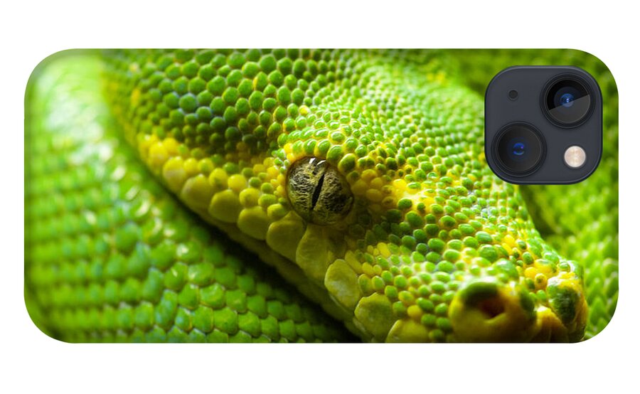 Green Tree Python iPhone 13 Case featuring the digital art Green tree python by Geir Rosset