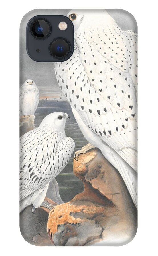 Greenland Falcon iPhone 13 Case featuring the jewelry Greenland Falcon. John Gould by World Art Collective