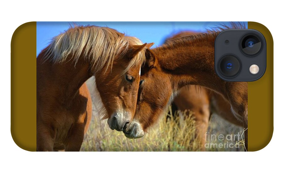 Salt River Wild Horses iPhone 13 Case featuring the digital art Heartwarming by Tammy Keyes