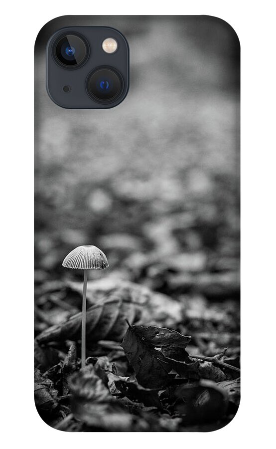 Mushroom iPhone 13 Case featuring the photograph Hello there little one by Gavin Lewis