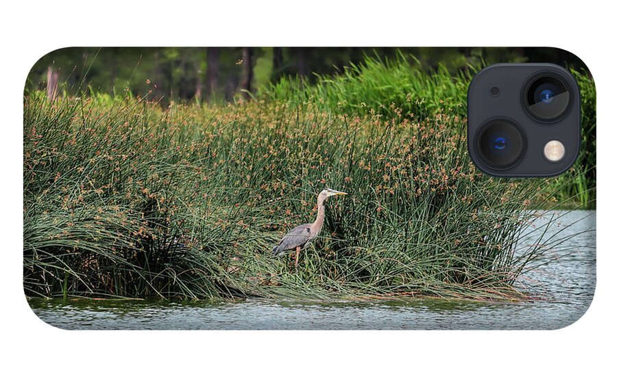 Heron iPhone 13 Case featuring the photograph Majestic by Laura Putman
