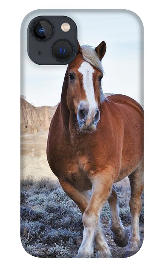 Horse iPhone 13 Case featuring the photograph Hey Tonka by Alden White Ballard