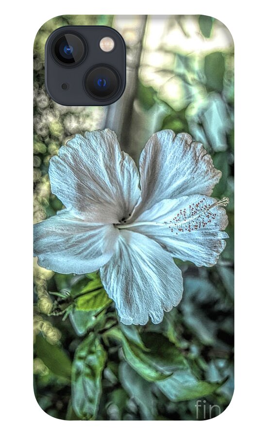 Hibiscus iPhone 13 Case featuring the photograph Hibiscus Glow by Elaine Teague