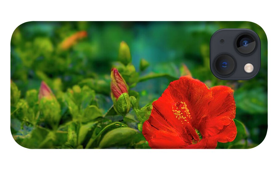 Hibiscus; Flower; Flora; Leaf; Leaves; Bud iPhone 13 Case featuring the photograph Hibiscus in Bloom by Shelia Hunt